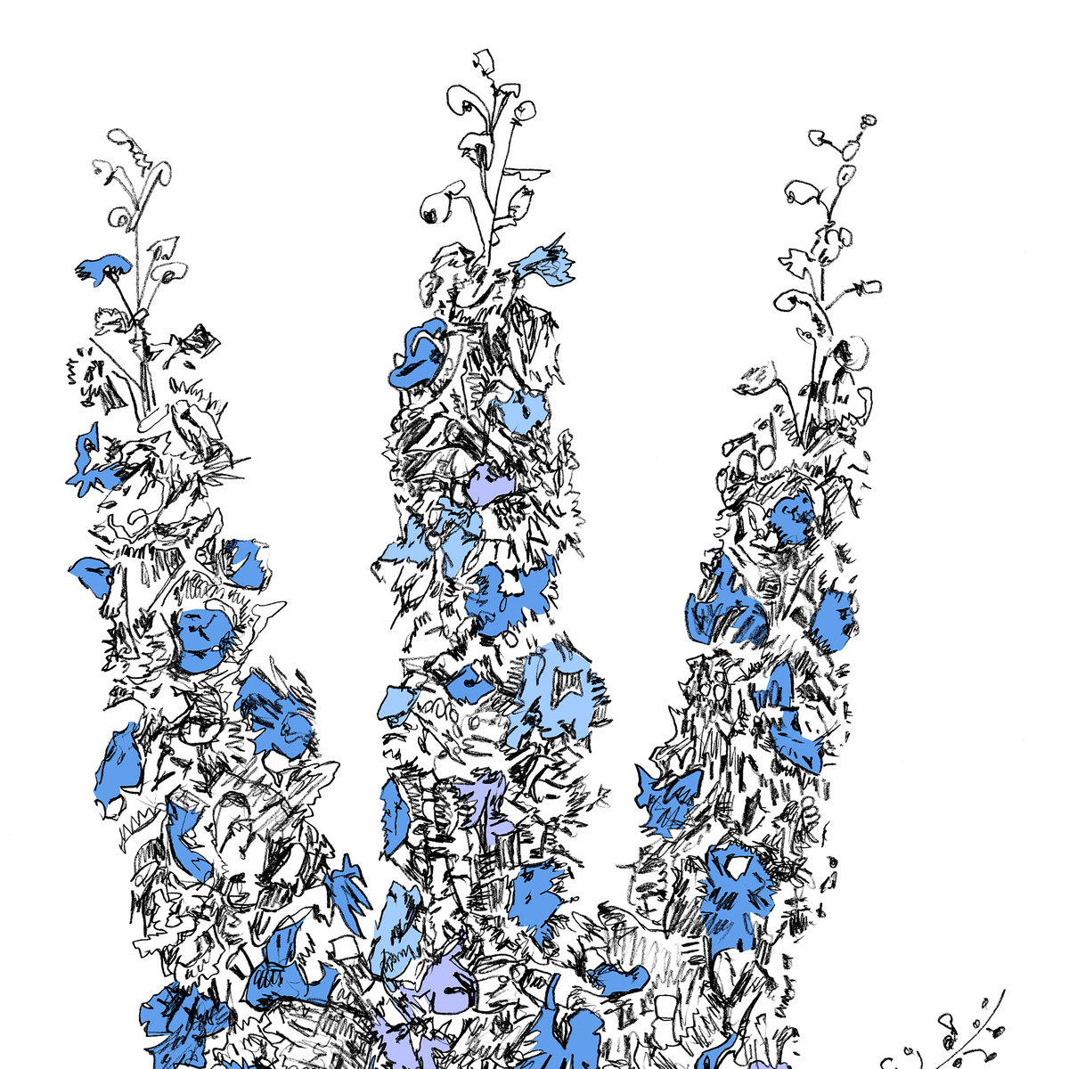 This image is a visual cue for the review of Davis Galvin - Prism (Delphinium Elatum)